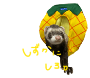839273947