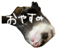 839273952