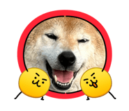 839274044