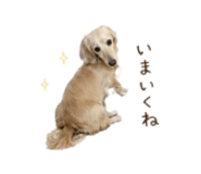 839276310