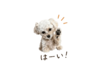 839276317