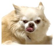 839276529