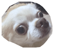 839276533