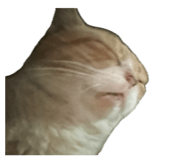 839276542
