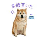 839276685
