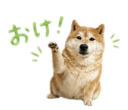 839276686