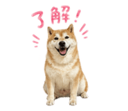 839276687