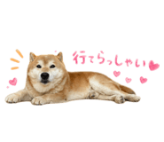839276688