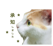 839276767