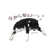 839276776