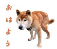 839277425