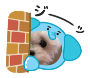 839277437