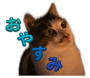 839277570
