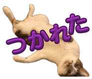 839277579