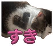 839277585