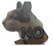 839277587