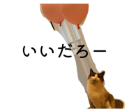 839279060