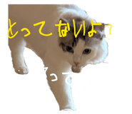839279062