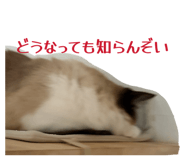 839279063