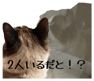 839279064