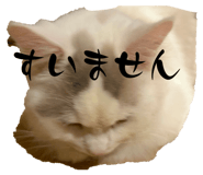 839279067