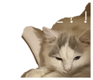839279069