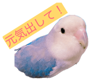 839279084
