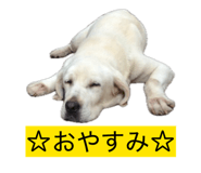 839279093