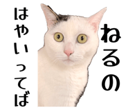 839279099