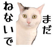 839279104