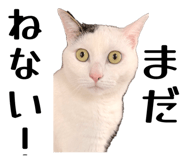 839279105