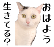 839279114