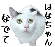 839279122