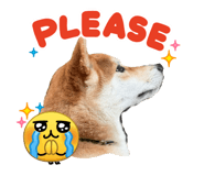 839279214
