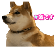 839279215