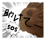 839279612