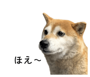 839280177