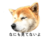 839280178