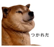 839280182