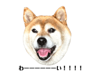 839280184