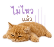 839280407