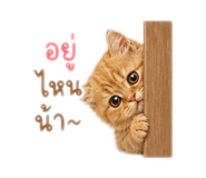 839280416