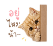 839280424