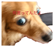 839280773
