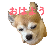 839280795