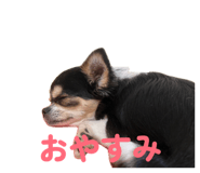 839280796