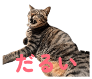 839280798
