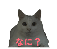 839280805