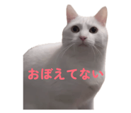 839280806