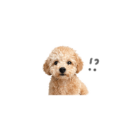 839280938